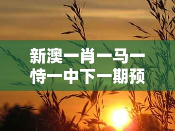 新澳一肖一马一恃一中下一期预测，红波旺势不可挡，或新澳门管家婆100精准香港谜语今天的-规避不实诱导迷宫,场景解答、专家解读解释与落实