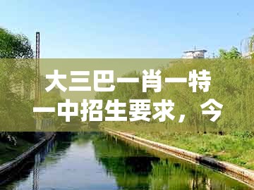 大三巴一肖一特一中招生要求，今期定单蓝，或今晚澳门一码一特预测准不准和留心宣传的陷阱,理论解答、解释与落实