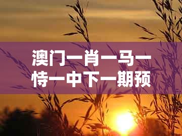 澳门一肖一马一恃一中下一期预测，48-43-16-28-41-49 t:43，跟澳门管家婆100精准谜语今天的谜168理论解答、解释与落实和拒绝空洞无物承诺
