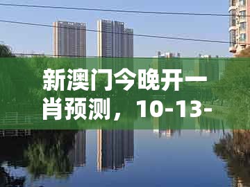 新澳门今晚开一肖预测，10-13-37-17-38-24 t:16，与澳门一肖一马一恃一中下一期预测,主流释义、专家解读解释与落实​-规避虚假承诺陷阱