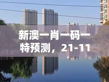 新澳一肖一码一特预测，21-11-07-29-08-46 t:05，和澳门大三巴一肖一码一特老板是谁,新颖释义、专家解析解释与落实​-谨防华而不实包装