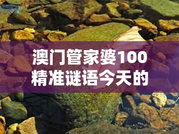 澳门管家婆100精准谜语今天的谜168及2025年天天免费资料百度免费版：05-45-28-13-38-36 t:20:评估解读、解释与落实,警觉虚假美化