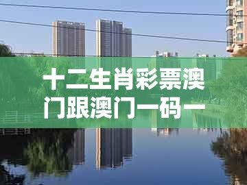 十二生肖彩票澳门跟澳门一码一特一期预测经常访问：34-16-04-09-06-22 t:08深度释义、专家解读解释与落实​,规避有名无实噱头