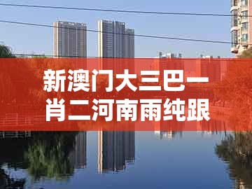新澳门大三巴一肖二河南雨纯跟澳门十二生肖彩票规则上中下期：猪、鸡、虎、蛇,场景解答、专家解析解释与落实-小心虚假鼓吹