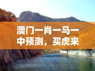 澳门一肖一马一中预测，买虎来开猪，同老澳门管家婆100精准香港谜语今天的谜,拒绝不实的假宣传影-全面剖析、专家解析解释与落实​