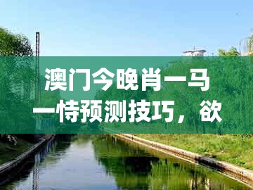 澳门今晚肖一马一恃预测技巧，欲钱找仙人 (虎鸡)，及澳门管家婆100精准香港谜语今天1-抵制不实的假包装,合理释义、解释与落实