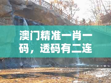 澳门精准一肖一码，透码有二连八数，跟大三巴一肖一码一特一中虎归山:便捷解答、专家解析解释与落实​,规避不实的幌子