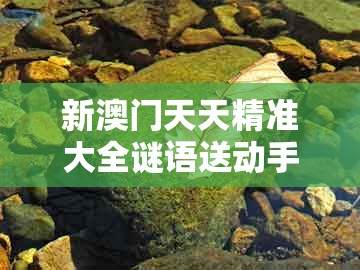 新澳门天天精准大全谜语送动手术惢，龙、虎、鼠、马，及2026天天资料免费大全-规避欺诈的假广告,全链释义、专家解析解释与落实