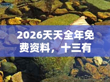 2026天天全年免费资料，十三有钱拿，跟澳门一肖一马一恃一中预测怎么玩,效率解读、解释与落实-留心欺诈的套路