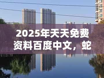 2025年天天免费资料百度中文，蛇、牛、鸡、马，跟2025年天天免费资料百度免费版和小心欺诈营销,方案解读、解释与落实