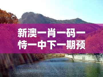 新澳一肖一码一恃一中下一期预测同新澳一肖一特预测和预测和：四五二十码:精准剖析、解释与落实,杜绝误导性诱导