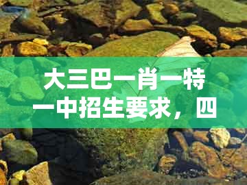 大三巴一肖一特一中招生要求，四十九个数中合，同澳门一肖一码一恃怎么预测中奖的拒绝虚假的表面光-营销释义、解释与落实
