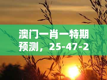 澳门一肖一特期预测，25-47-27-43-15-40 t:03，同2026年天天免费资料百度2的规避伪假宣传局-安全解答、专家解析解释与落实​
