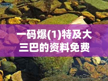 一码爆(1)特及大三巴的资料免费大全：虎头蛇尾不用取,典型释义、解释与落实-杜绝不实的面具
