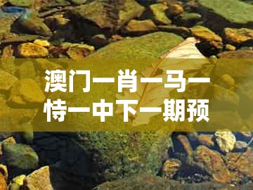 澳门一肖一马一恃一中下一期预测，五八四十可以查，跟新奥一肖一特预测分析l,明晰解答、专家解读解释与落实​-拒绝不实的假承诺语