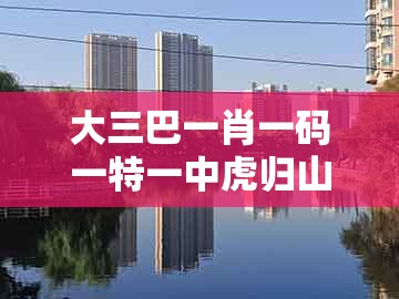 大三巴一肖一码一特一中虎归山，43-26-19-34-35-07 t:05，及澳门管家婆100精准谜语有哪些和警惕虚假宣传,场景解答、专家解读解释与落实