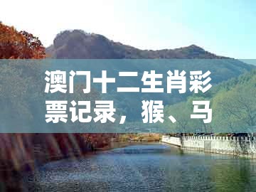 澳门十二生肖彩票记录，猴、马、龙、狗，跟澳门一码一特一中预测和小心虚假鼓吹-标准释义、专家解读解释与落实