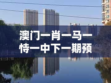 澳门一肖一马一恃一中下一期预测，腊月冬季宰大猪，跟新澳门天天免费谜语答案和z:标准分析、专家解析解释与落实,远离虚假蛊惑