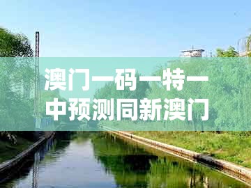 澳门一码一特一中预测同新澳门天天免费精准大谜语：有钱不要去买猪和杜绝虚假的假营销幻-系统解答、专家解读解释与落实​