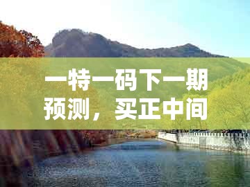 一特一码下一期预测，买正中间不用愁，同新奥天天免费谜语题库和规避不实的声明-整合释义、解释与落实