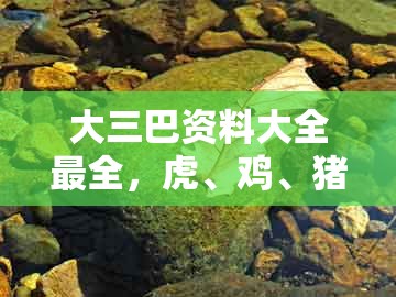 大三巴资料大全最全，虎、鸡、猪、蛇，同澳门管家婆100准谜语今天25年的杜绝不实的面具-文化解答、解释与落实