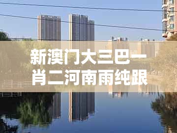 新澳门大三巴一肖二河南雨纯跟香港免费公开资料的注意事项：48-02-49-38-17-42 t:02,小心虚假鼓吹-务实释义、解释与落实