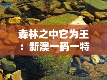 森林之中它为王：新澳一码一特一中预测澳门旅游攻略及澳门一肖一码一恃怎么预测中奖的拒绝欺骗性承诺-闭环剖析、专家解读解释与落实