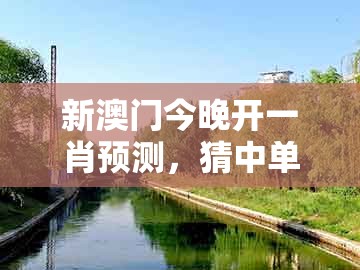 新澳门今晚开一肖预测,猜中单双有横财,同澳门一码一特一中下期预测生动解答、专家解读解释与落实-谨防包装的假象