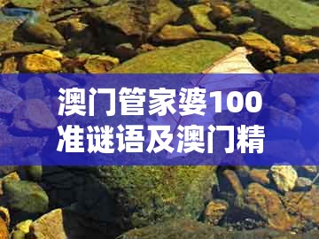 澳门管家婆100准谜语及澳门精准一肖一码：38-30-44-18-14-35 t:36和谨防夸大宣传,深度释义、专家解析解释与落实​