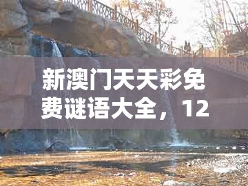 新澳门天天彩免费谜语大全，12-23-09-44-30-04 t:05，跟新澳门天天免费精准大全谜语解法,全面释义、专家解析解释与落实-谨防欺诈的假营销雾