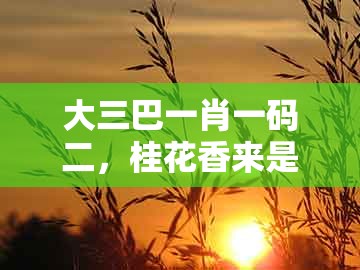 大三巴一肖一码二,桂花香来是佳人,同新澳门天天精准大全谜语送动手术惢升级分析、解释与落实和谨防不实的伪形象