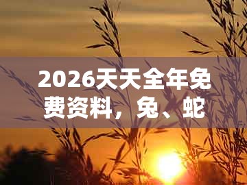 2026天天全年免费资料，兔、蛇、猪、羊，同77777888888精准新传小说二勇公热点释义、专家解析解释与落实​-拒绝不实的假承诺语