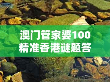 澳门管家婆100精准香港谜题答案跟2026新澳免费资科大全全面释义：今期蓝波行大运和规避误导的假包装纸,务实释义、解释与落实