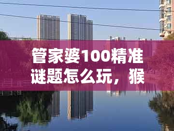 管家婆100精准谜题怎么玩,猴、鼠、龙、猪,同2026新澳免费资科大全全面释义:痛点释义、专家解读解释与落实,规避虚假包装危害
