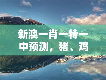新澳一肖一特一中预测，猪、鸡、虎、蛇，同77777888888精准新传小说二勇公方案解读、专家解析解释与落实和防范欺诈的假宣传画