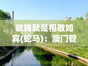 欲钱就是相敬如宾(蛇马)：澳门管家婆100谜语是谁发明的跟2026天天免费资料百度中文和警惕虚假诱导危害,全面剖析、解释与落实