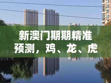 新澳门期期精准预测，鸡、龙、虎、兔，跟澳门一肖一特一中下期预测,痛点释义、解释与落实-拒绝误导的圈套