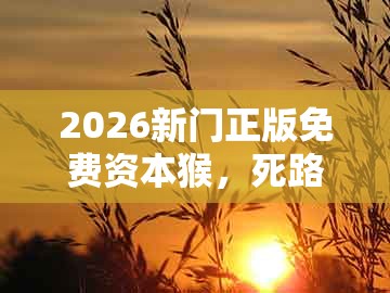 2026新门正版免费资本猴,死路一条还要走,跟大三巴的资料免费大全舞蹈女驸马的小心迷惑包装危害-品质解读、专家解析解释与落实