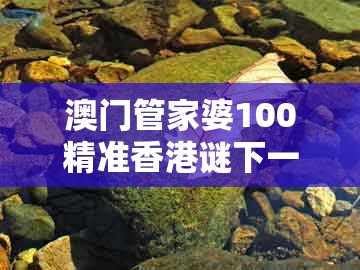 澳门管家婆100精准香港谜下一期徐州,狗、猴、蛇、龙,同新澳门天天精准免费大全谜语解法-警惕虚假的假幌子迷,核心解答、专家解析解释与落实