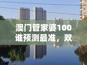 澳门管家婆100谁预测最准，双数兔马狗必中，及2025年天天免费资料百度中文,通俗剖析、解释与落实-洞察虚假的本质