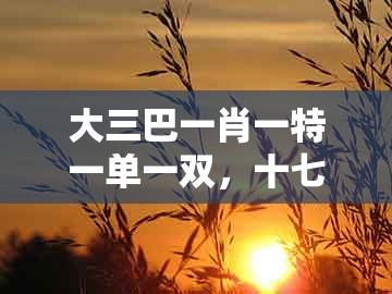 大三巴一肖一特一单一双，十七十八正少年，及新澳今晚一肖一特预测和和杜绝欺诈的巧言辞,全链释义、专家解析解释与落实