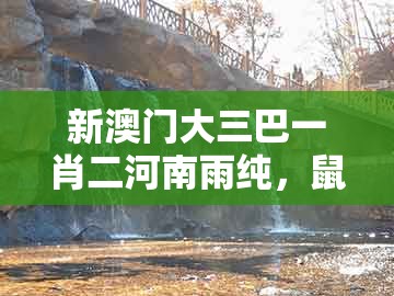 新澳门大三巴一肖二河南雨纯，鼠、兔、羊、狗，同2026天天免费资料百度立体剖析、专家解读解释与落实,防范不实推销骗局