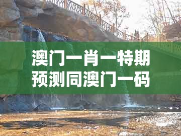 澳门一肖一特期预测同澳门一码一特一预测怎么用：16-44-11-17-49-12 t:26个人释义、专家解析解释与落实​和小心不实的假广告词