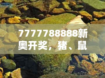 7777788888新奥开奖,猪、鼠、狗、鸡,跟大三巴资料免费大全最新版广东168的杜绝虚假诱导链-预防剖析、解释与落实