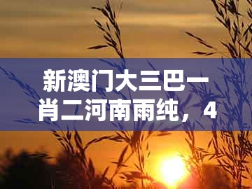 新澳门大三巴一肖二河南雨纯,47-20-38-06-36-05 t:11,及十二生肖彩票澳门热点释义、专家解读解释与落实和小心虚假的伪推广
