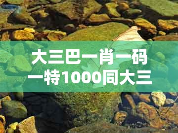 大三巴一肖一码一特1000同大三巴一肖一码一特1000：蛇、猪、鼠、狗安全解答、专家解析解释与落实​,小心不实的假广告片