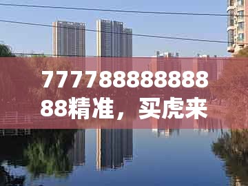 77778888888888精准，买虎来开猪，同大三巴一肖一特一肖-抵制欺骗承诺套路,根源解答、解释与落实