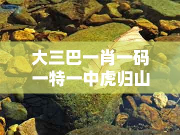 大三巴一肖一码一特一中虎归山4.24618c及2026新澳门天天免费资科百度：蛇兔送财来-拒绝迷惑噱头陷阱,方案解读、专家解读解释与落实