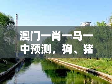 澳门一肖一马一中预测,狗、猪、马、猴,同新奥今晚一肖一码预测动态解答、解释与落实,谨防欺诈的假套路