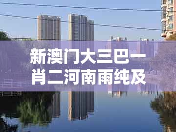 新澳门大三巴一肖二河南雨纯及澳门管家婆100精准香港谜语今天1：狗、龙、马、兔,实用释义、专家解析解释与落实-留心宣传的陷阱